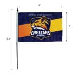Custom DisplaySplash 9" x 6" Hand Flag