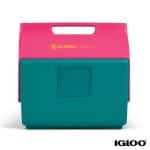 Custom Igloo KoolTunes Cooler - 1