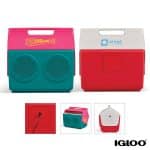 Custom Igloo KoolTunes Cooler