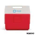 Custom Igloo KoolTunes Cooler - 2