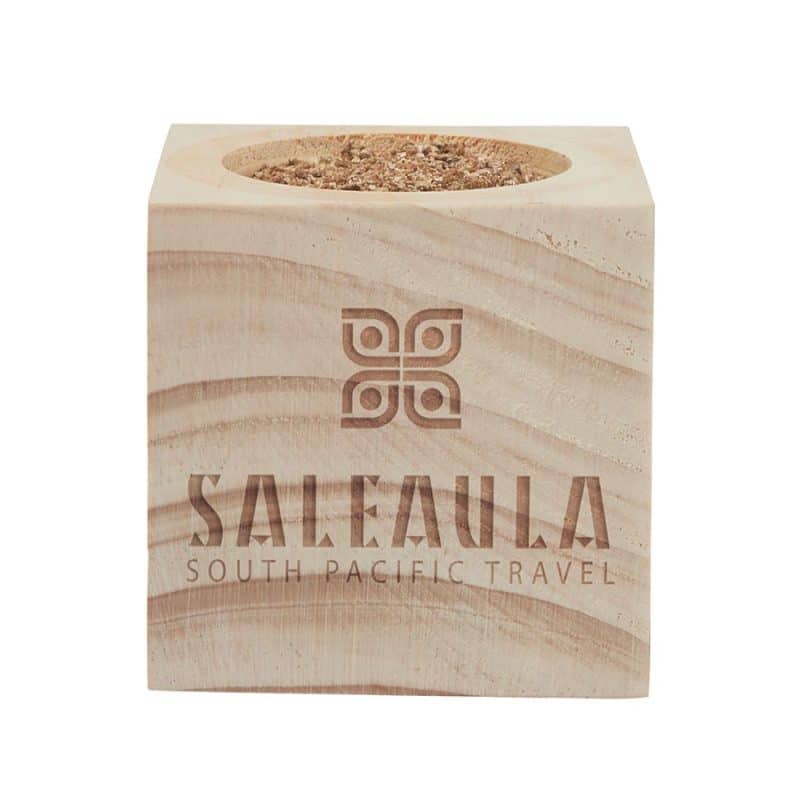 Custom Sprigbox Christmas Tree Grow Kit - 1