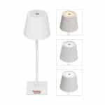 Custom Theo LED Rechargeable Desk Lamp