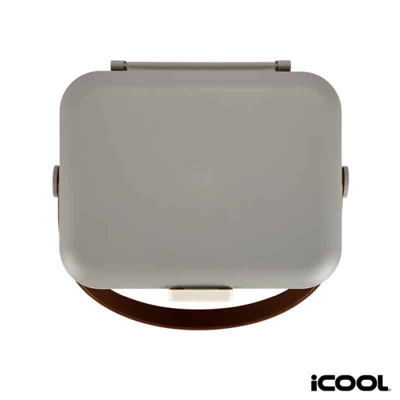 Custom iCOOL Hale 6-Can